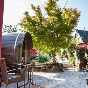 Готель Auberge Au Boeuf Sessenheim Exterior photo