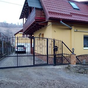 Готель Casa Vio Сігішоара Exterior photo