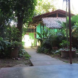 Tambopata Hostel Bambu Пуерто-Мальдонадо Exterior photo