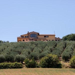 B&B La Casa Fra Gli Olivi Маршіано Exterior photo