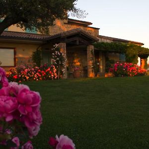 Bed and Breakfast Il Giardino Delle Rose Santa Maria Nuova Exterior photo