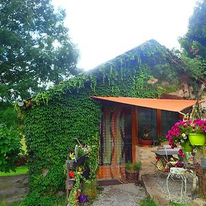 Bed and Breakfast Mas De La Boheme - L'Hermet Saint-Leons Exterior photo