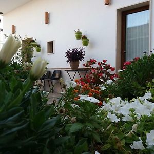 Bed and Breakfast Colle Carro Poggiorsini Exterior photo