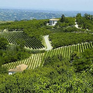 Вілла Agriturismo Cascina Anri Mango Exterior photo