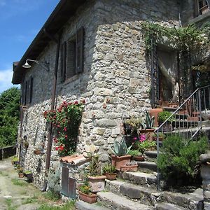 Bed and Breakfast Poggio Delle Rondini Bagnone Exterior photo