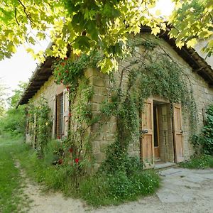 Вілла Circolo Dell'Orso Grizzana Exterior photo