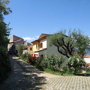 Dianum Villa Degli Ulivi Падула Exterior photo