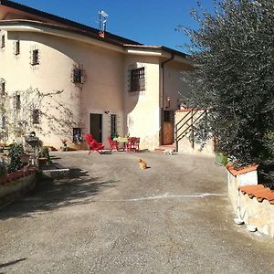 Гостьовий будинок Casa Fra Gli Ulivi Di Giuseppe Sonnino Exterior photo