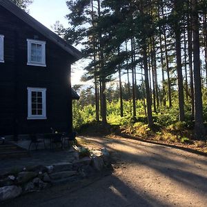 Breiva Gjestegaard Og Glamping Бьо Exterior photo