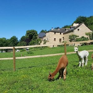 Bed and Breakfast La Ferme Des Andes Quins Exterior photo