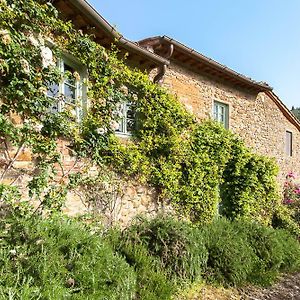 Charming Room With Private Bathroom Греве-ін-К'янті Exterior photo