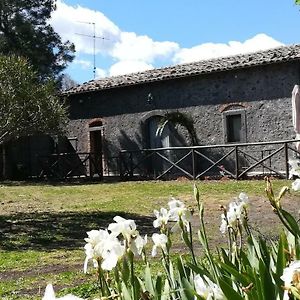 Вілла Poggio Roseto Рандаццо Exterior photo