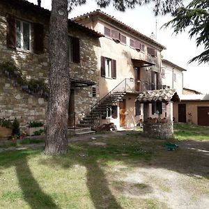 Апартаменти Il Rifugio Del Leone Перуджа Exterior photo