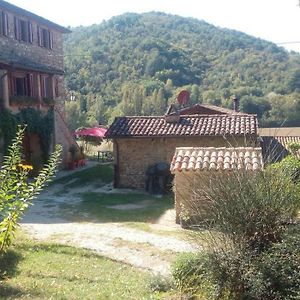 Bed and Breakfast Tana Del Tasso San Secondo Exterior photo