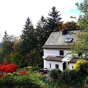 Готель Green Corner Nuerburg Exterior photo