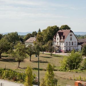 Freiburg-Design-Apartment 3 Гундельфінген Exterior photo