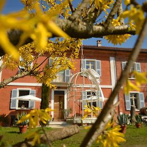 Bed and Breakfast Bed & Tours Dimora Di Campagna Castelnuovo Belbo Exterior photo