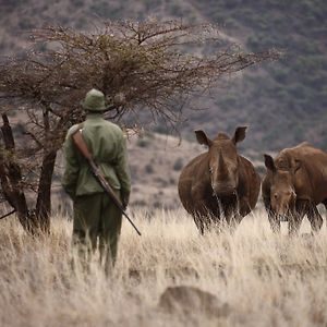 Готель Elewana Lewa Safari Camp Meru Exterior photo