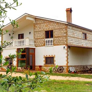 Gio Horses B&B Сан-Нікандро-Гарганіко Exterior photo