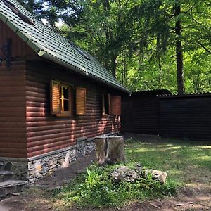 Forest Cottage Weekend House Влехіца Exterior photo
