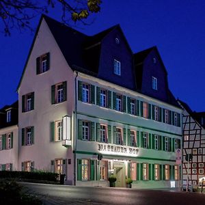 Hotel Nassauer Hof Лімбург-ан-дер-Лан Exterior photo