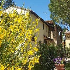 Гостьовий будинок Agriturismo La Ginestrella Civitella D'Arna Exterior photo