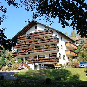 Hotel Breitenbacher Hof Вальдахталь Exterior photo