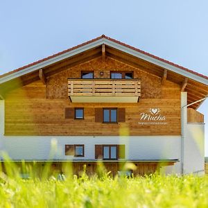 Berghaus Mucha - Ferienwohnungen - Naturpark Partner Больстерланґ Exterior photo