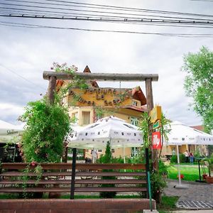 La Padure Pensiune-Restaurant Новачі-Страіні Exterior photo
