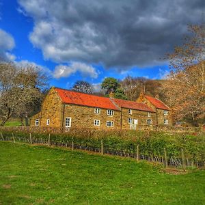 Bed and Breakfast Park House Ingleby Arncliffe Exterior photo