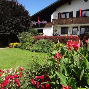 Апартаменти Haus Christine Aigen Schlaegl - Moldau Aigen im Muehlkreis Exterior photo