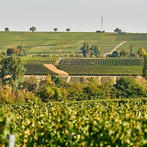 Готель Weingasthaus Wisser Billigheim-Ingenheim Exterior photo