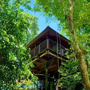 Готель Cairns Rainforest Retreat Exterior photo