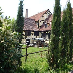 Вілла Maison De Vacances Alsace - Ferienhaus Elsass - Holiday House Alsace Bischwiller Exterior photo