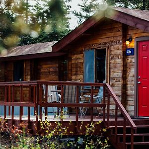 Вілла Denali Cabins Denali Park Exterior photo