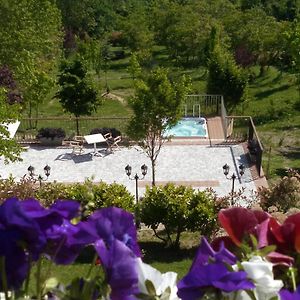 Albergo Diffuso - Il Poggetto Tra Urbino & San Marino Exterior photo