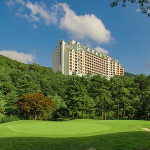 Yangji Pine Resort Йонін Exterior photo