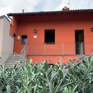Bed and Breakfast Borghetto Airport/Hospital Бергамо Exterior photo