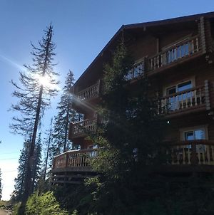 Готель Alpin Eco Chalet & Wellness Драгобрат Exterior photo