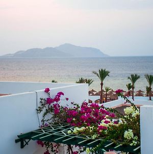 Coral Beach Resort Montazah (Adults Only) Шарм-еш-Шейх Exterior photo