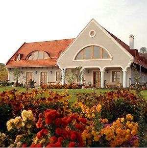 Koczor Winery & Guesthouse Балатонфюред Exterior photo