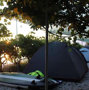Готель Camping Jungle In Борш Exterior photo
