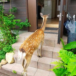 Deer Hostel- - 外国人向け - 日本語予約不可 Нара Exterior photo