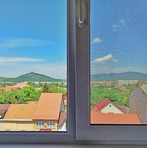 Апартаменти з прекрасним панорамним видом на замок та гори Мукачево Exterior photo