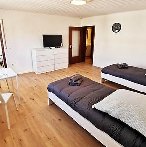 1 Room Apartment In Rodgau Near Frankfurt Exterior photo