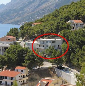 Apartments And Rooms With Parking Space Brela, Makarska - 6895 Exterior photo