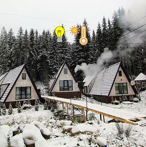Вілла Альпийское Шалле Яблуниця Exterior photo