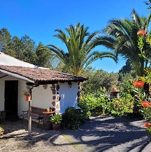 Гостьовий будинок Finca Llano De La Cebolla Ікод-де-лос-Вінос Exterior photo
