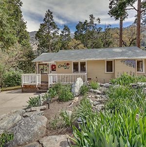 Cozy Forest Falls Rental Cabin Near Hiking Trails! Exterior photo