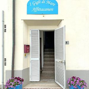 Affittacamere I Gigli Di Mare Марина-ді-Біббона Exterior photo